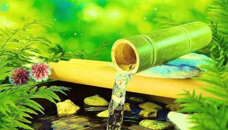 Experiencing Serenity Through Water Sound Speakers